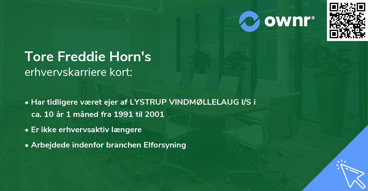Tore Freddie Horn's erhvervskarriere kort