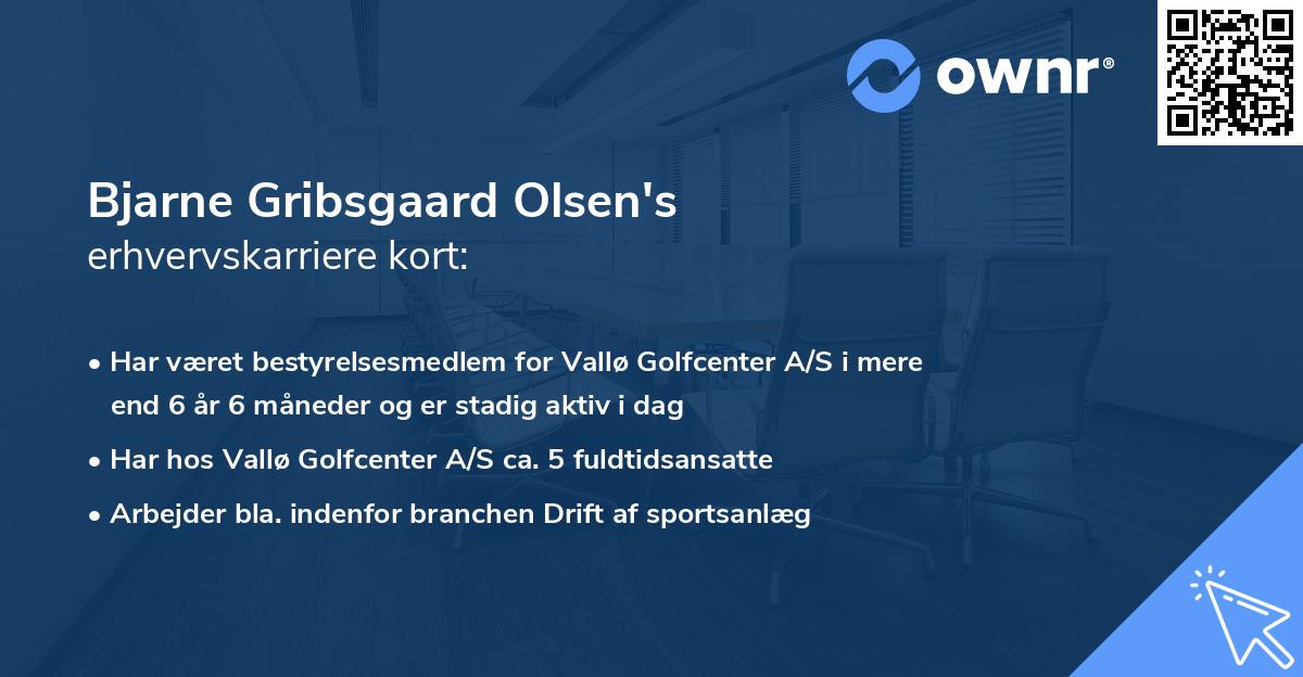 Bjarne Gribsgaard Olsen's erhvervskarriere kort