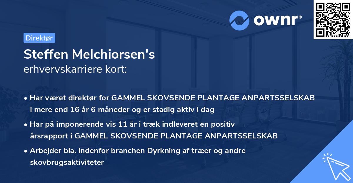 Steffen Melchiorsen's erhvervskarriere kort