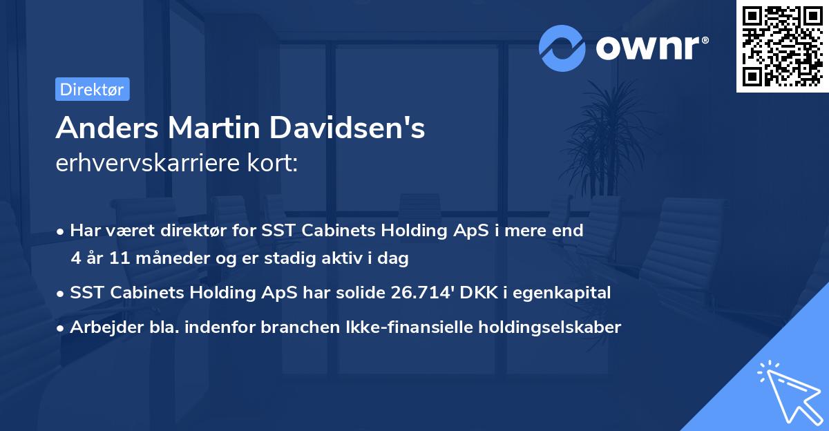 Anders Martin Davidsen's erhvervskarriere kort