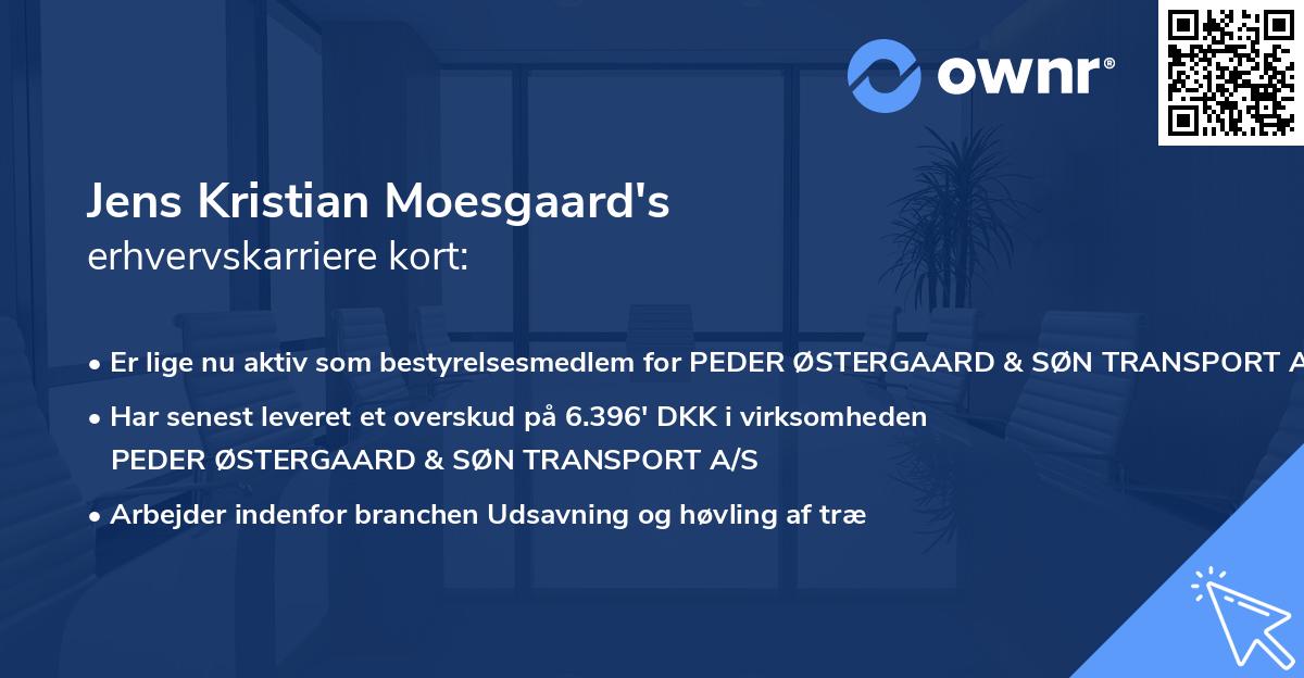 Jens Kristian Moesgaard's erhvervskarriere kort