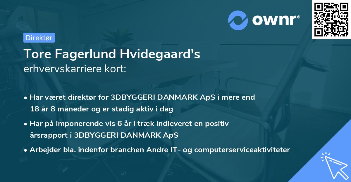 Tore Fagerlund Hvidegaard's erhvervskarriere kort