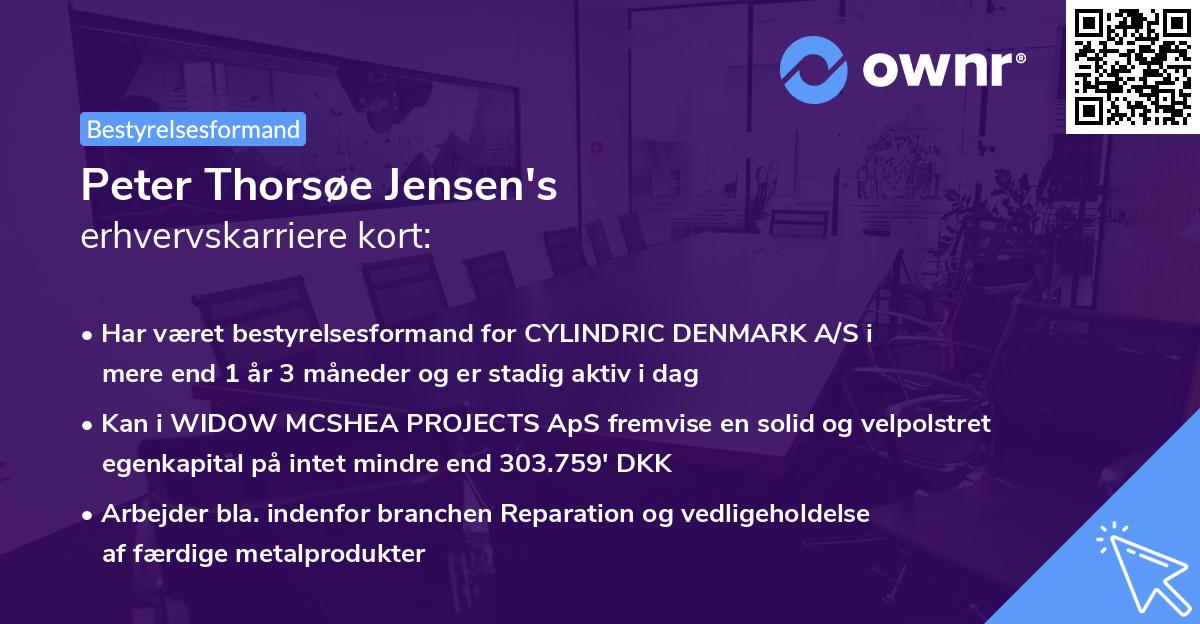 Peter Thorsøe Jensen's erhvervskarriere kort