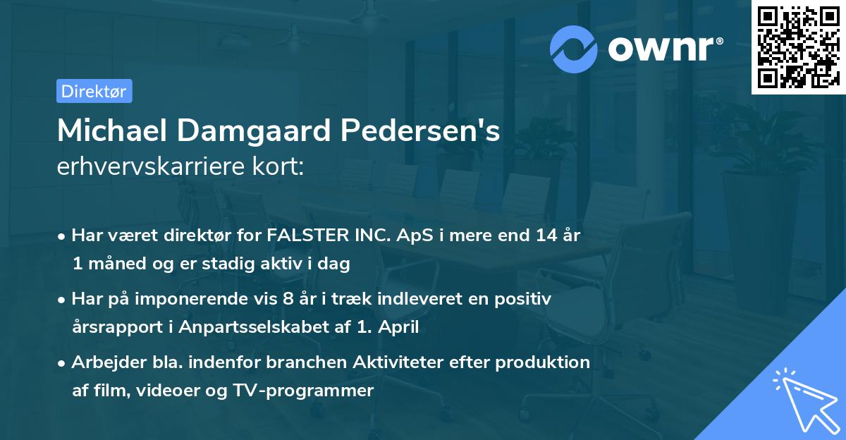 Michael Damgaard Pedersen's erhvervskarriere kort