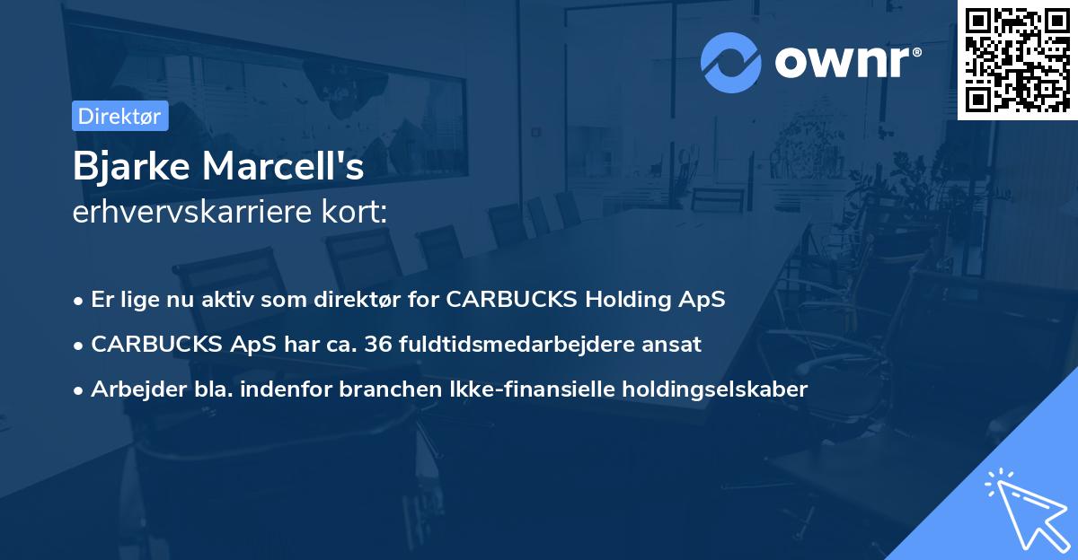 Bjarke Marcell's erhvervskarriere kort