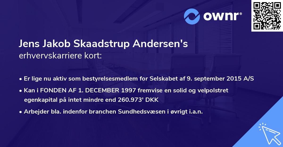 Jens Jakob Skaadstrup Andersen's erhvervskarriere kort