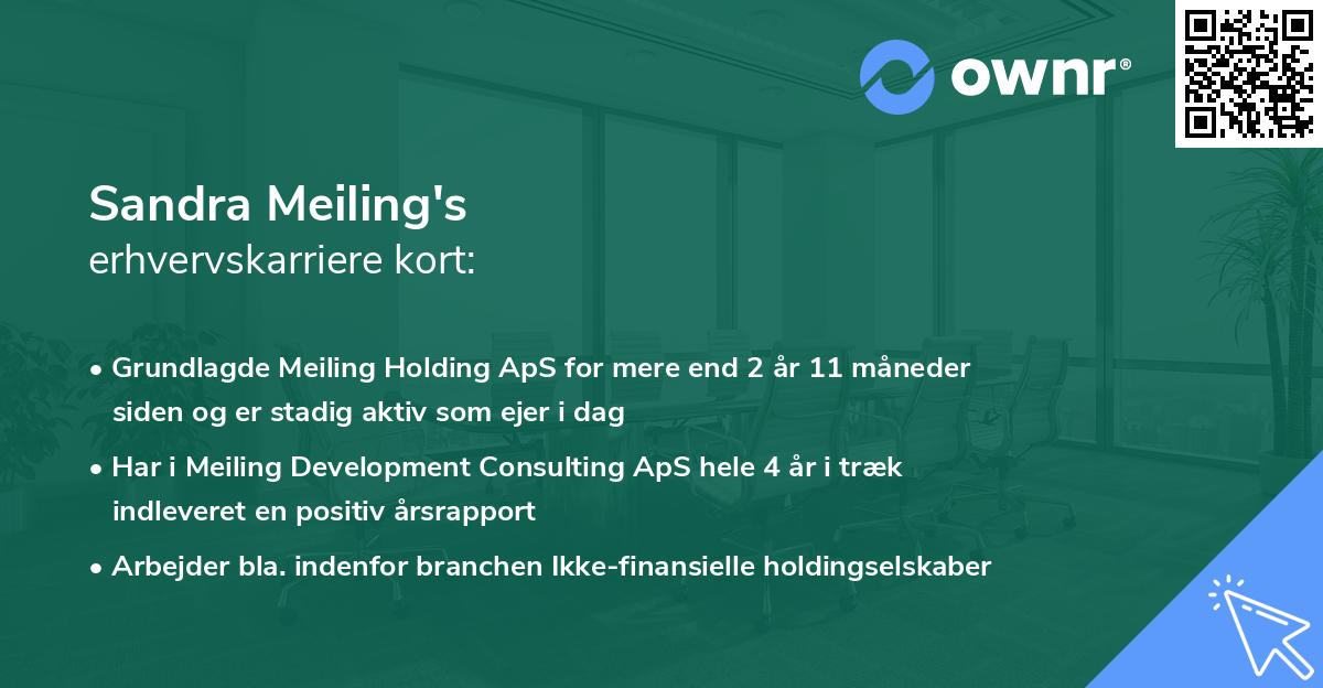 Sandra Meiling's erhvervskarriere kort