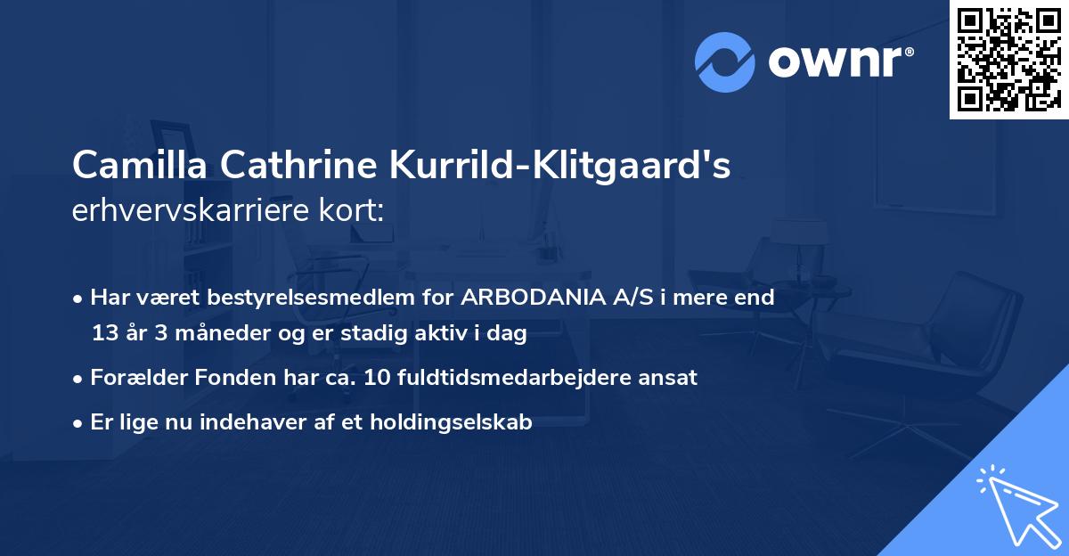 Camilla Cathrine Kurrild-Klitgaard's erhvervskarriere kort