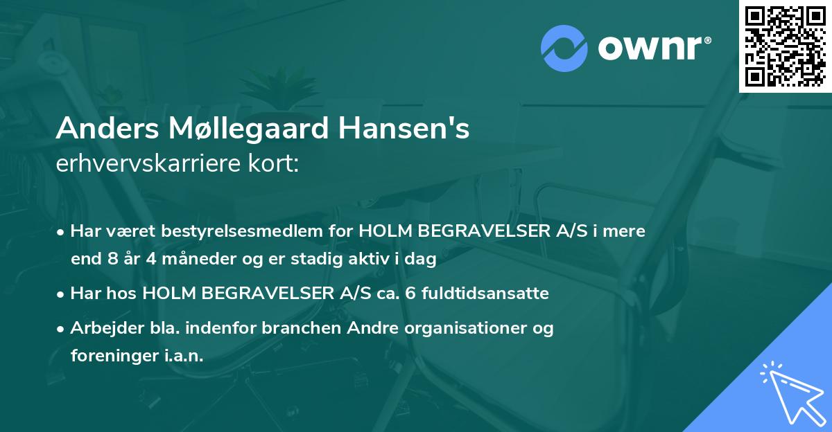 Anders Møllegaard Hansen's erhvervskarriere kort