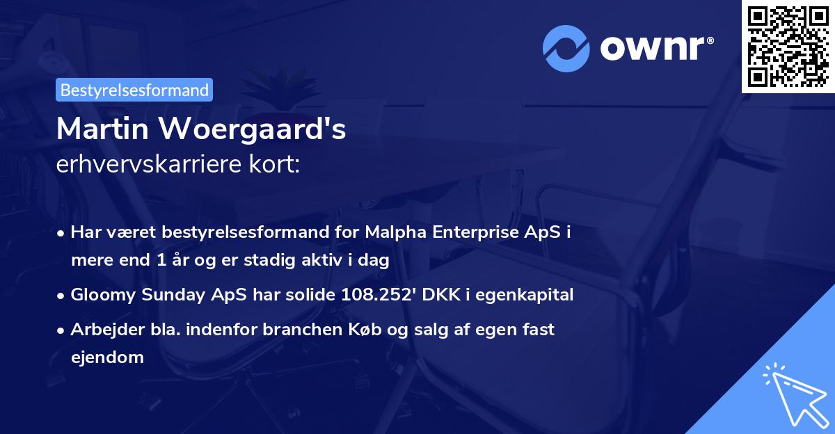 Martin Woergaard's erhvervskarriere kort