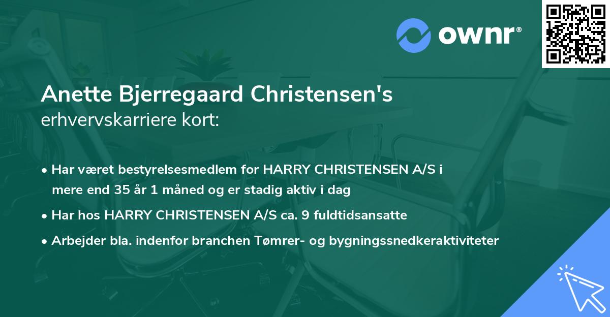 Anette Bjerregaard Christensen's erhvervskarriere kort
