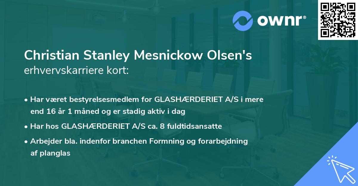 Christian Stanley Mesnickow Olsen's erhvervskarriere kort