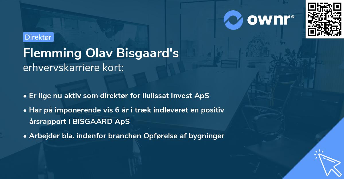 Flemming Olav Bisgaard's erhvervskarriere kort
