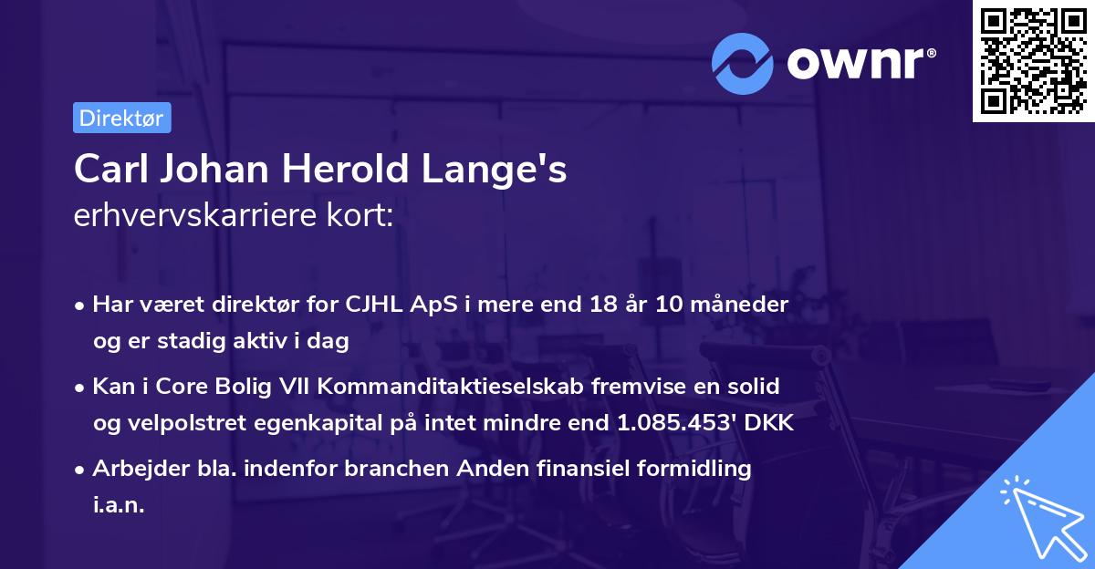 Carl Johan Herold Lange's erhvervskarriere kort