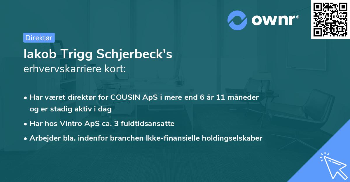 Iakob Trigg Schjerbeck's erhvervskarriere kort