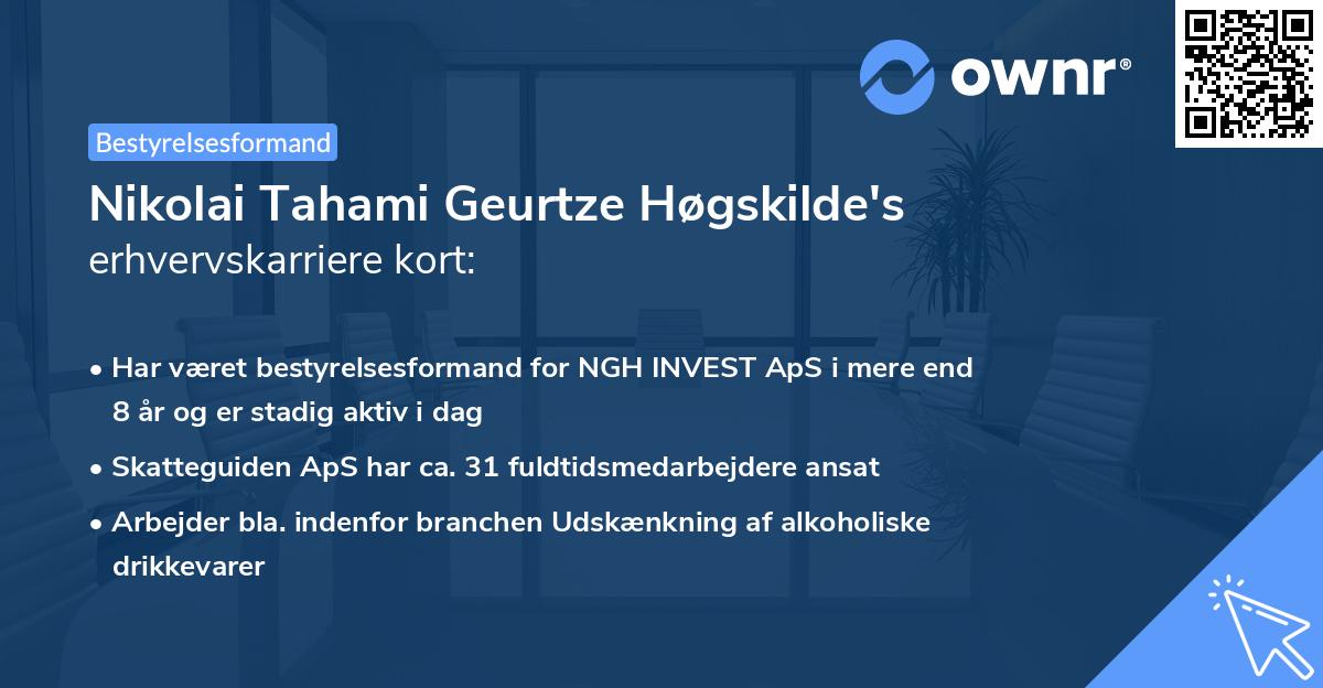 Nikolai Tahami Geurtze Høgskilde's erhvervskarriere kort
