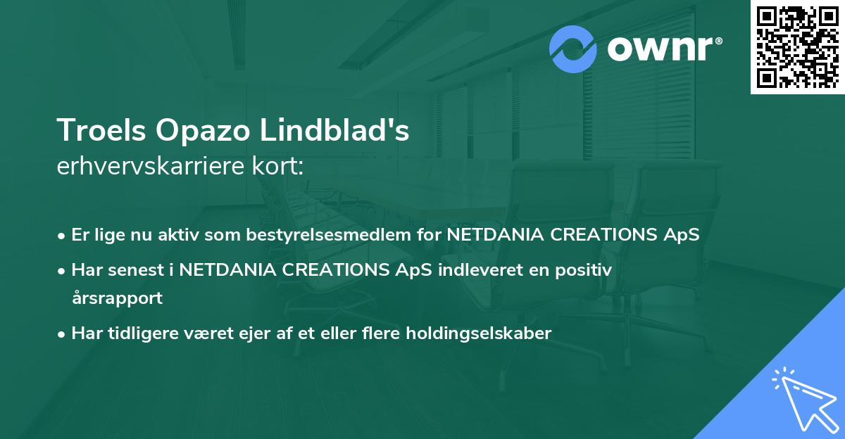 Troels Opazo Lindblad's erhvervskarriere kort