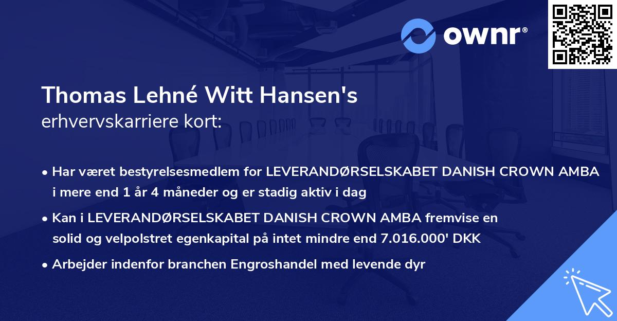 Thomas Lehné Witt Hansen's erhvervskarriere kort