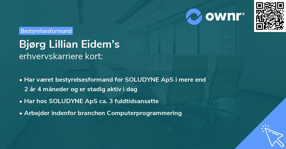 Bjørg Lillian Eidem's erhvervskarriere kort