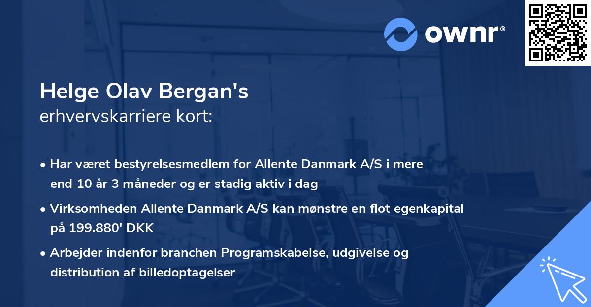 Helge Olav Bergan's erhvervskarriere kort