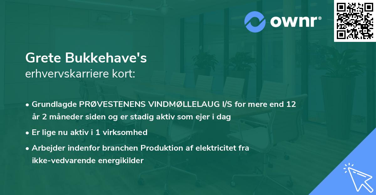 Grete Bukkehave's erhvervskarriere kort