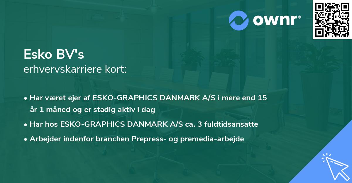 Esko BV's erhvervskarriere kort