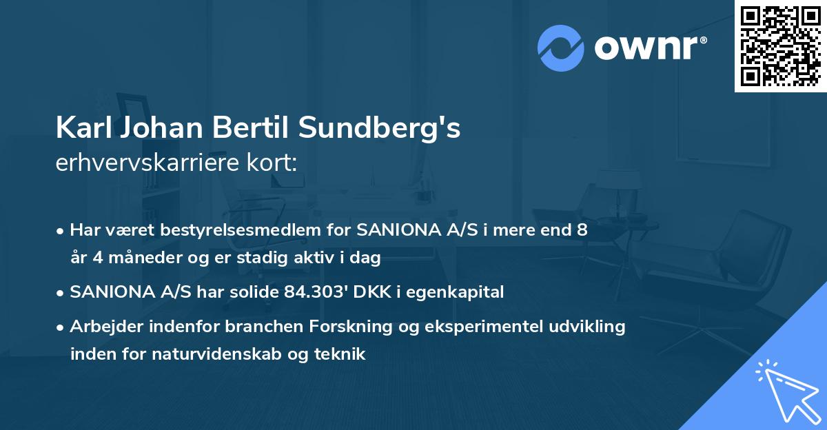 Karl Johan Bertil Sundberg's erhvervskarriere kort