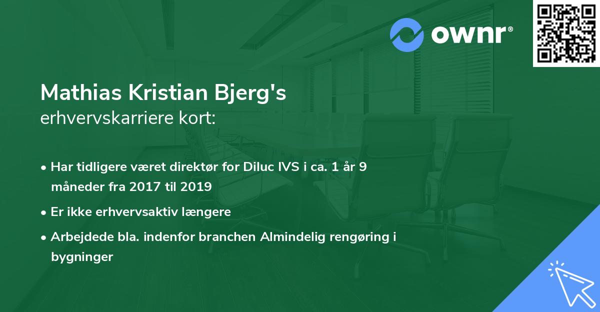 Mathias Kristian Bjerg's erhvervskarriere kort