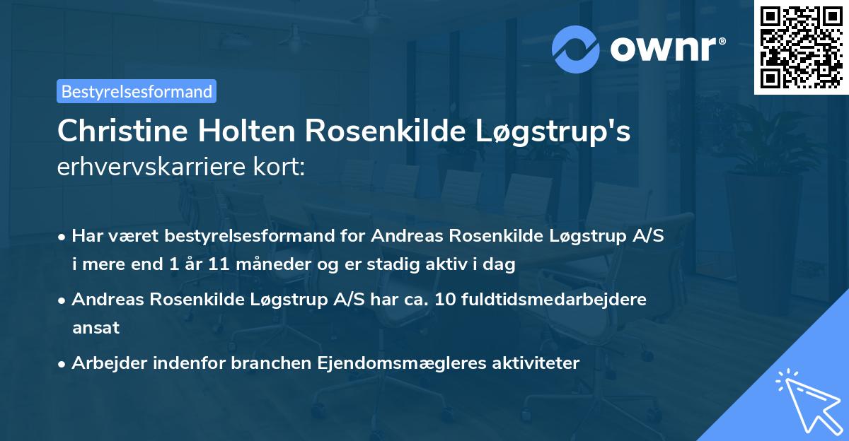 Christine Holten Rosenkilde Løgstrup's erhvervskarriere kort