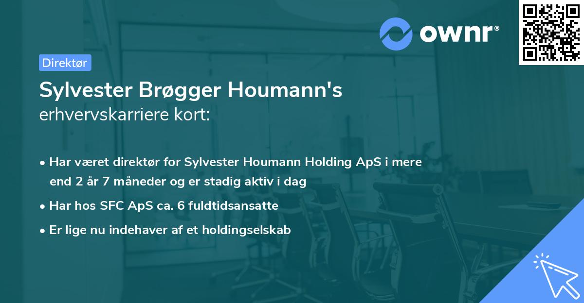 Sylvester Brøgger Houmann's erhvervskarriere kort