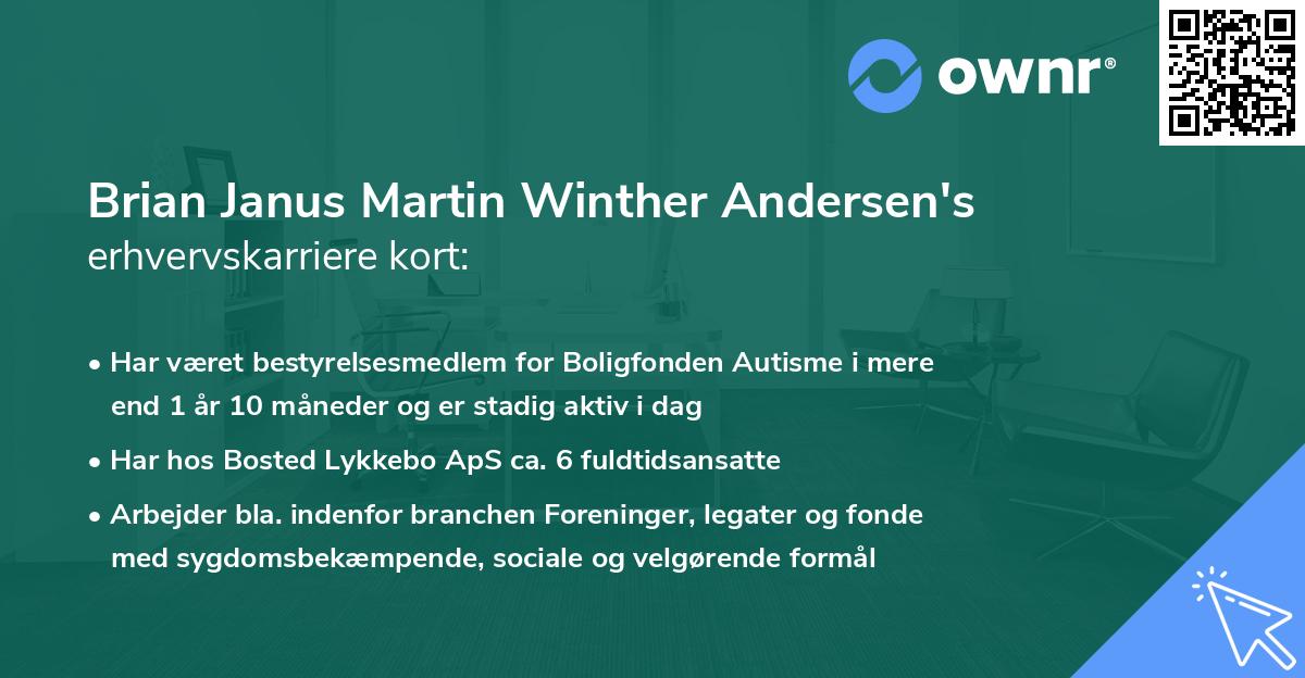 Brian Janus Martin Winther Andersen's erhvervskarriere kort