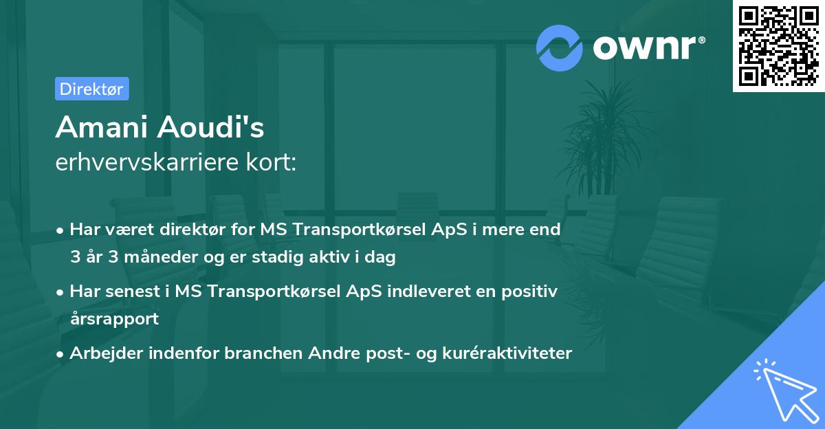 Amani Aoudi's erhvervskarriere kort