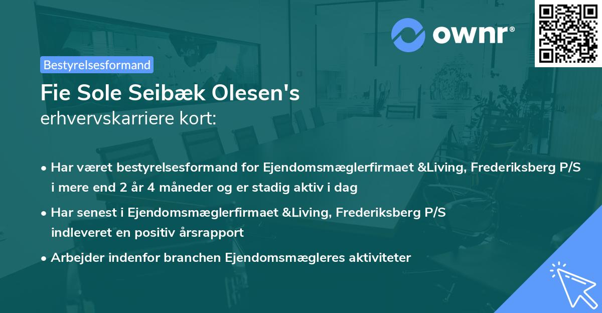 Fie Sole Seibæk Olesen's erhvervskarriere kort