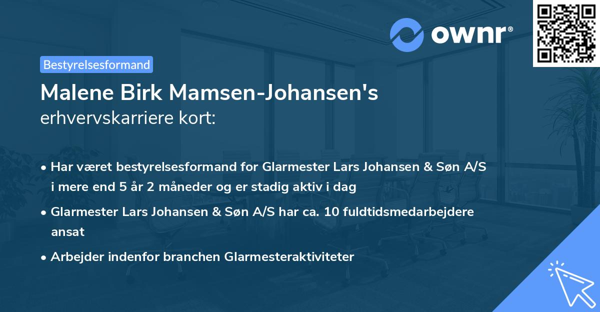 Malene Birk Mamsen-Johansen's erhvervskarriere kort