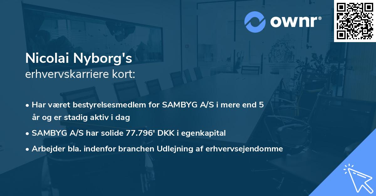 Nicolai Nyborg's erhvervskarriere kort