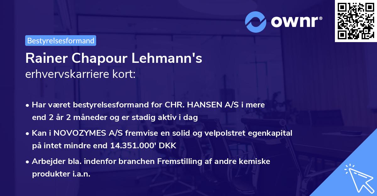 Rainer Chapour Lehmann's erhvervskarriere kort