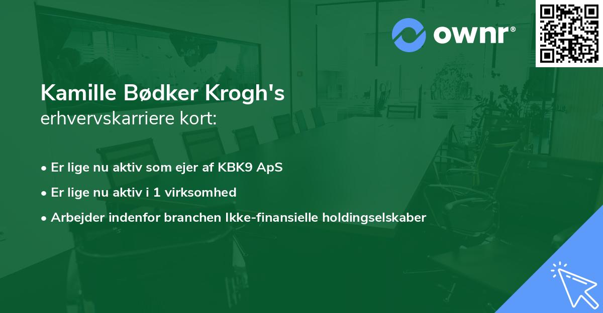 Kamille Bødker Krogh's erhvervskarriere kort