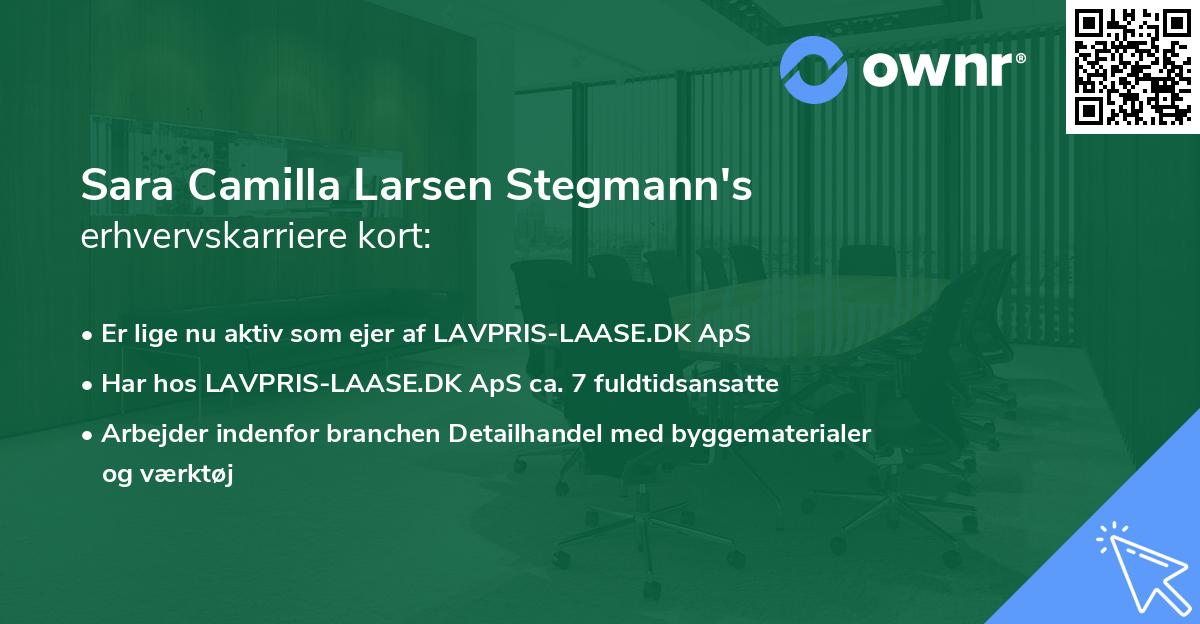 Sara Camilla Larsen Stegmann's erhvervskarriere kort