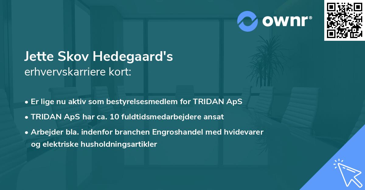 Jette Skov Hedegaard's erhvervskarriere kort