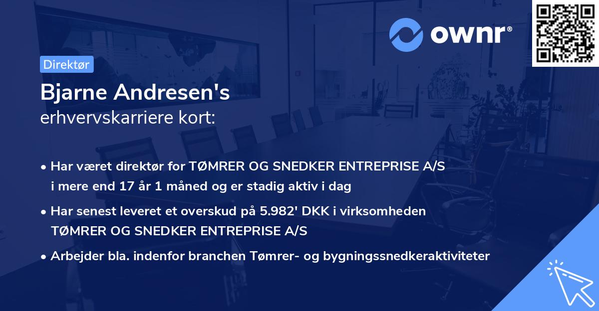 Bjarne Andresen's erhvervskarriere kort