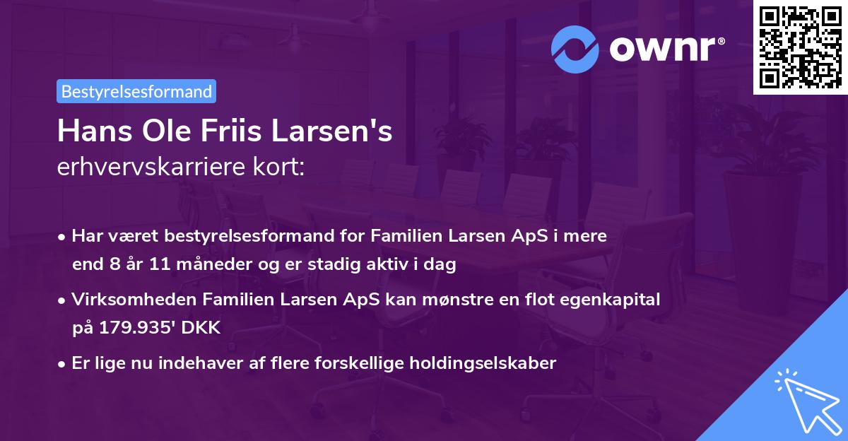 Hans Ole Friis Larsen's erhvervskarriere kort