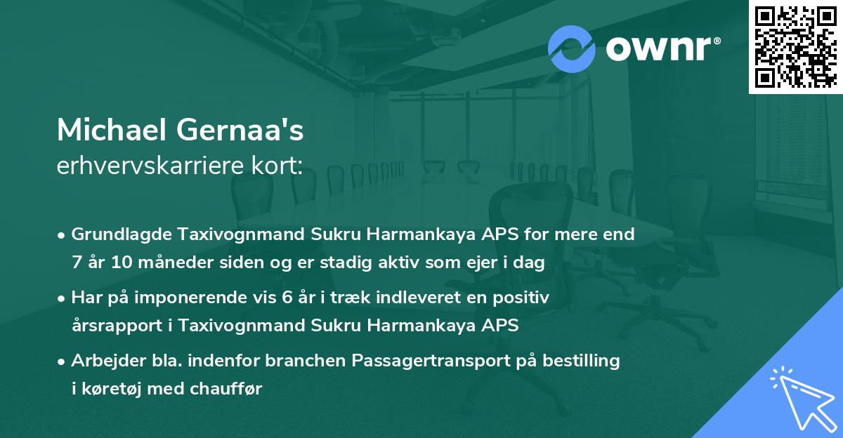 Michael Gernaa's erhvervskarriere kort