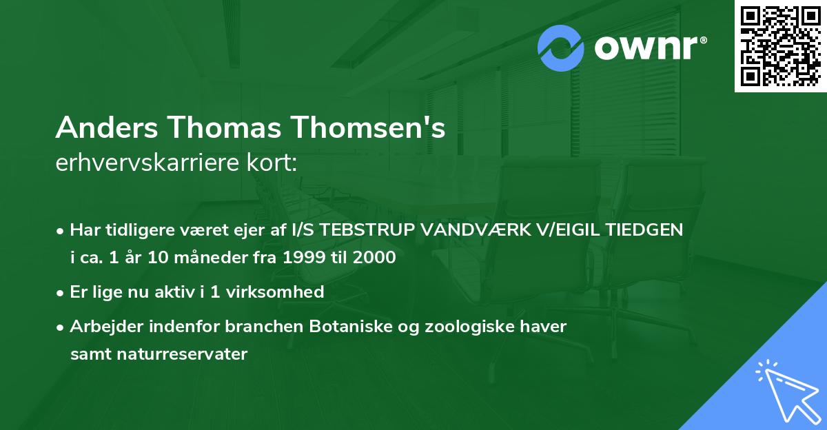 Anders Thomas Thomsen's erhvervskarriere kort