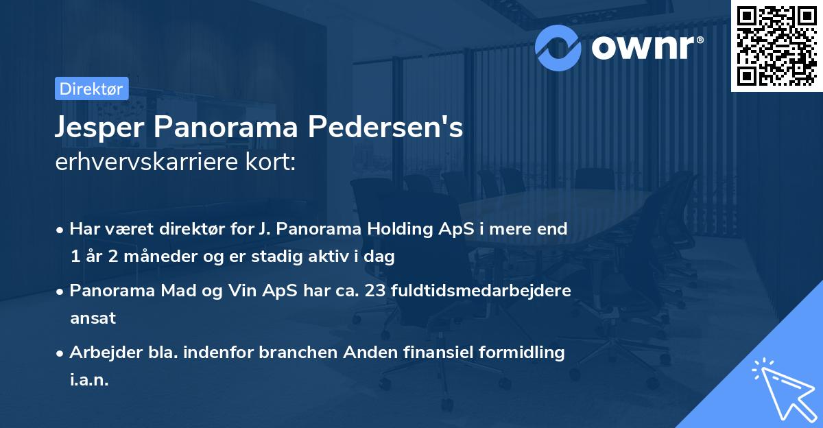 Jesper Panorama Pedersen's erhvervskarriere kort