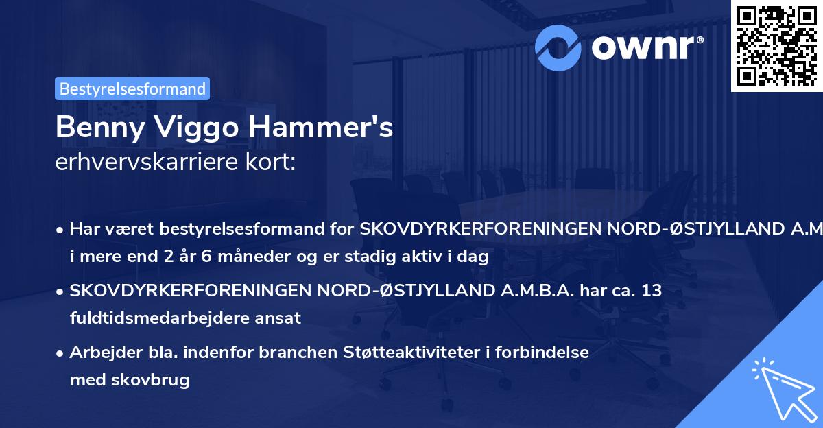 Benny Viggo Hammer's erhvervskarriere kort