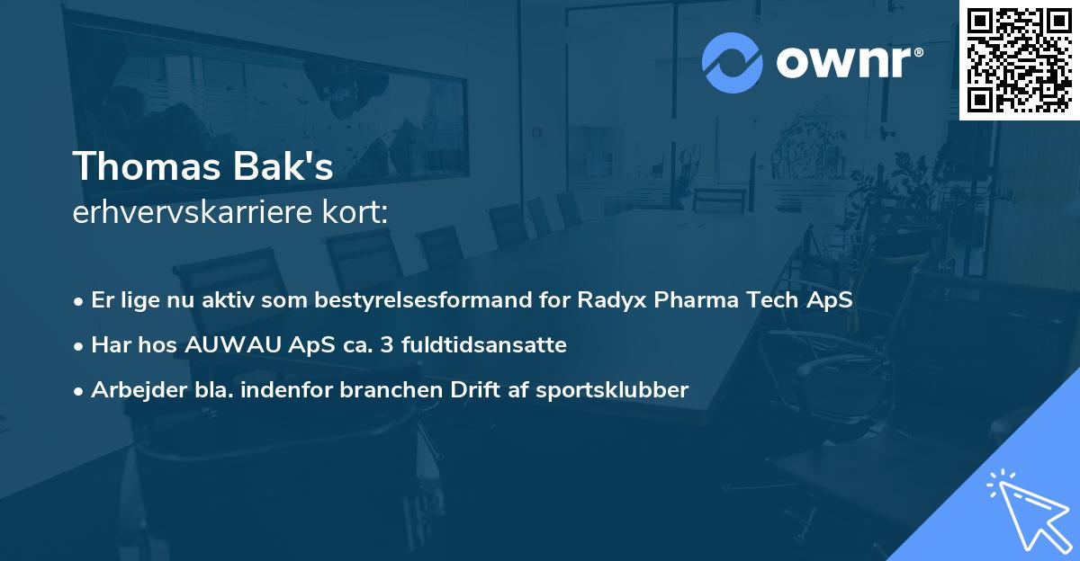 Thomas Bak's erhvervskarriere kort