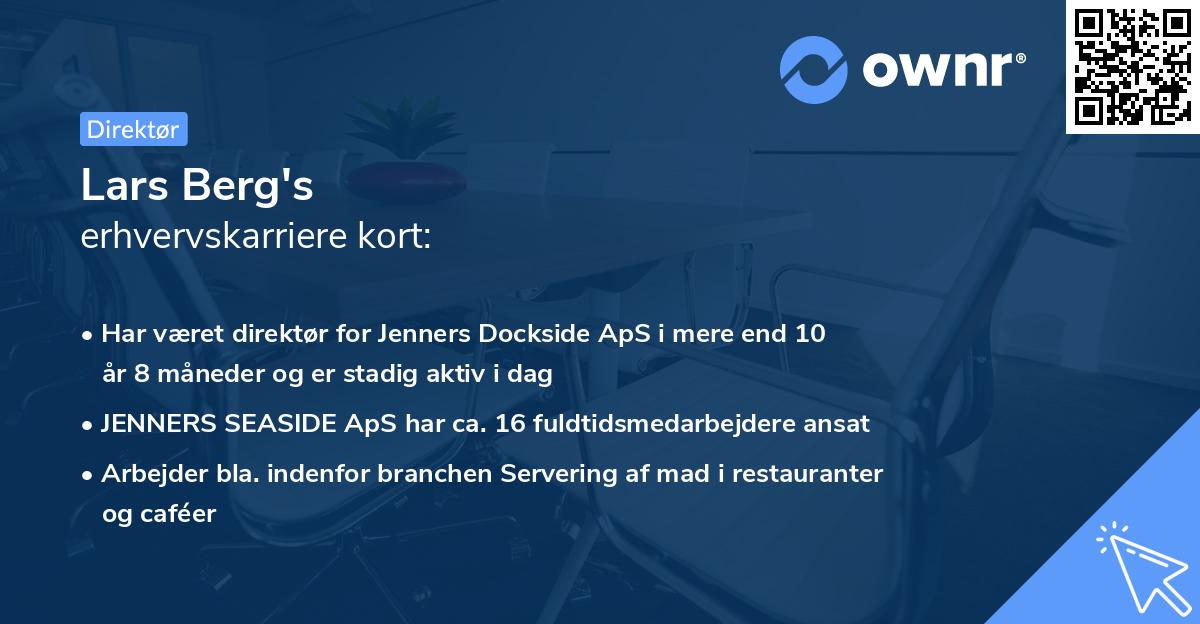 Lars Berg's erhvervskarriere kort