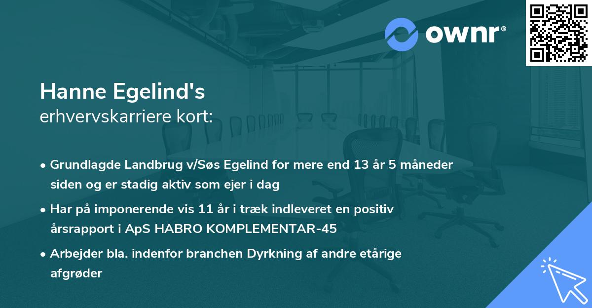 Hanne Egelind's erhvervskarriere kort