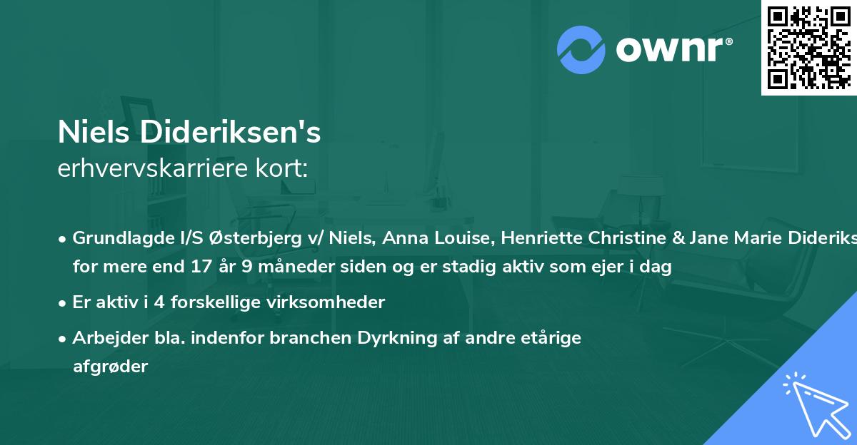 Niels Dideriksen's erhvervskarriere kort