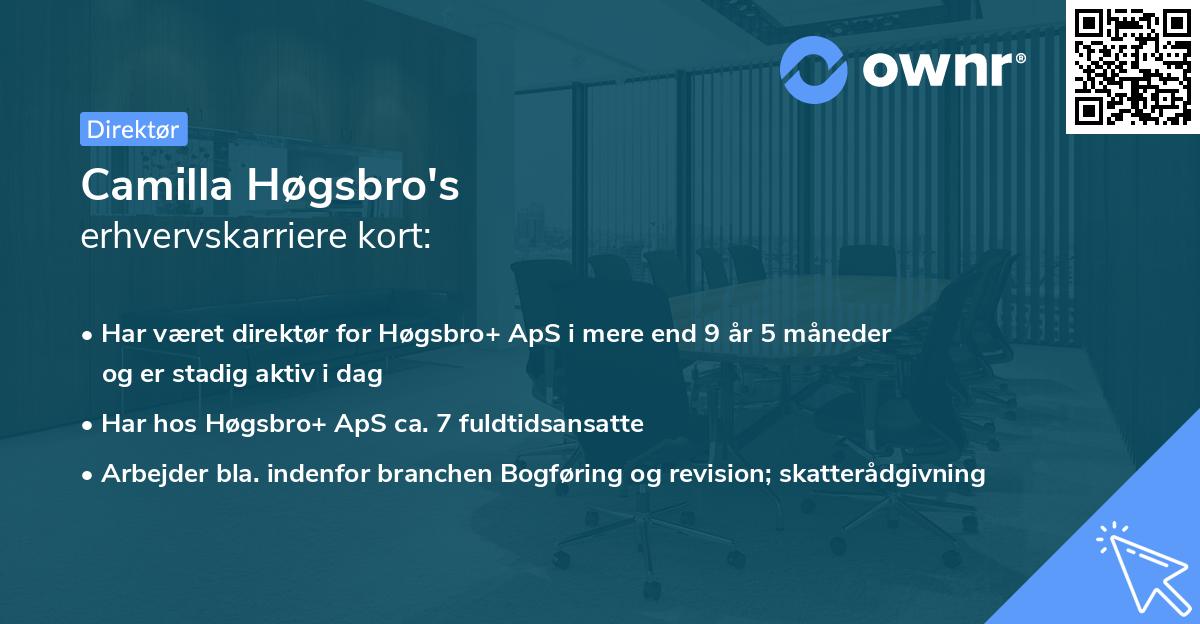 Camilla Høgsbro's erhvervskarriere kort